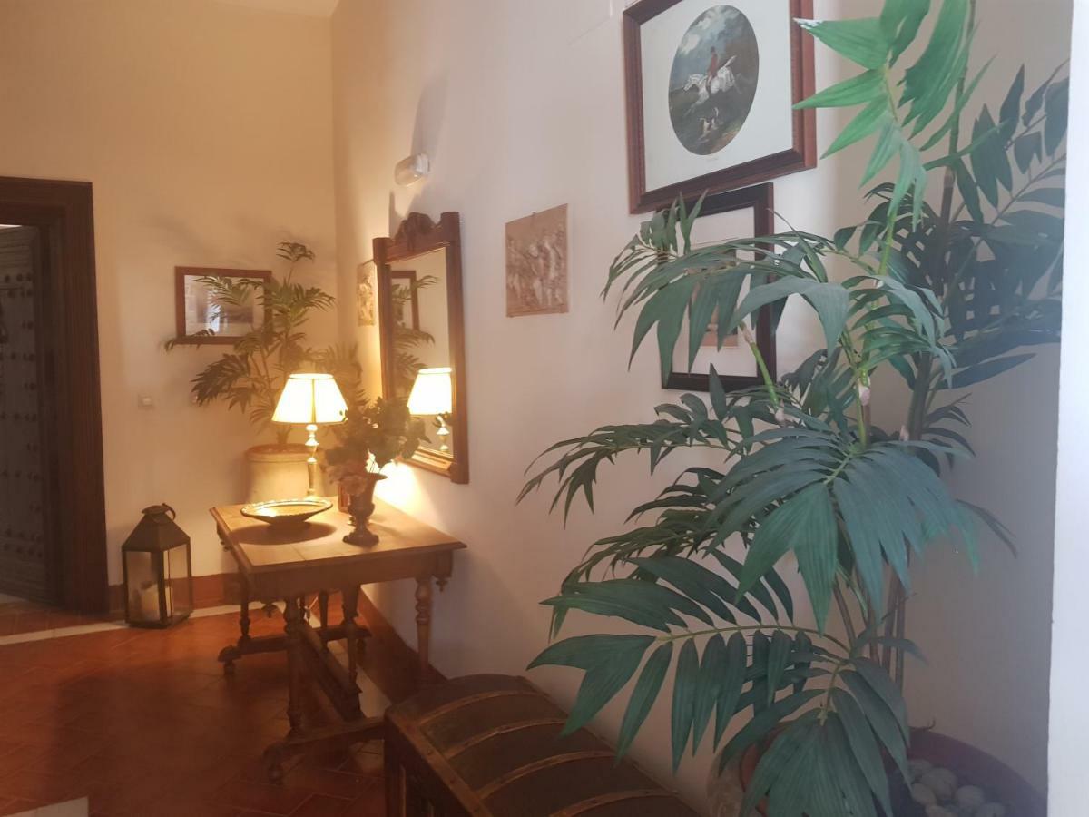 Apartment Cool Vailima Córdoba